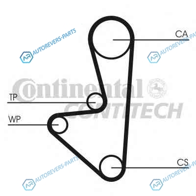 CT1067WP1 Комплект ремня ГРМ + насос водяной