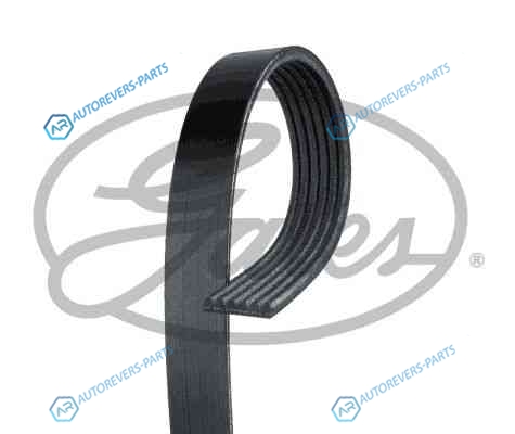 6PK738_ремень поликлиновой! 6KR736| VW Golf| Seat Cordoba 1.4|1.6 91>
