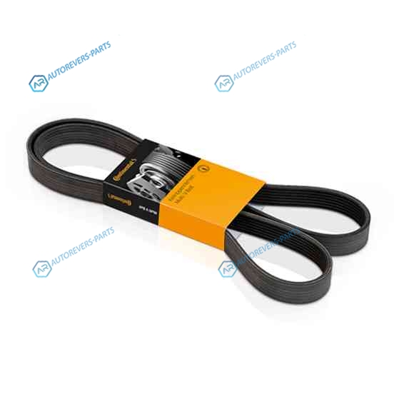 5PK813 Ремень поликлиновый CONTITECH