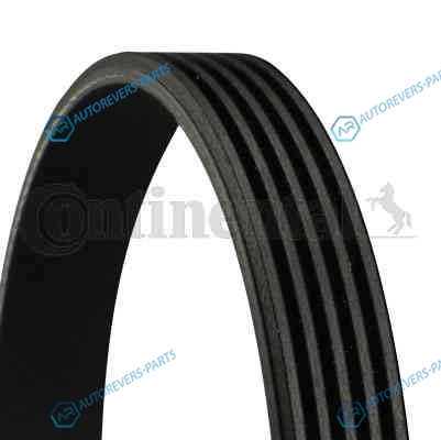 5PK875 Ремень поликлиновый CONTITECH