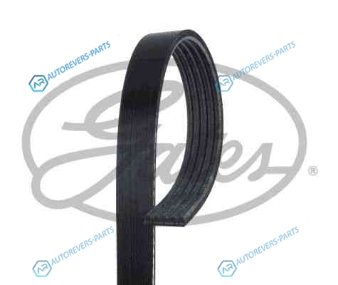 5PK1123 Поликлиновой ремень 5PK1123 (8653-10210)
