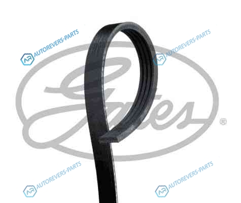 4PK1003 Поликлиновой ремень 4PK1003 (8653-10160)