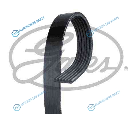 6PK1042-1059SF_ремень приводной!|Ford Focus| Volvo S40| Mazda 2 1.2-1.6i 02>